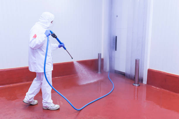 Best Dumpster Area Cleaning  in Northampton, MA